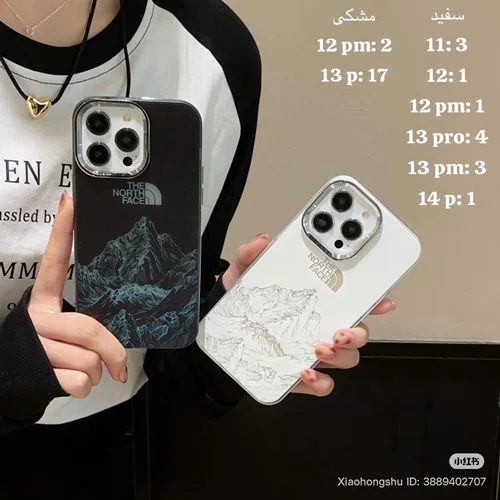 پک north face c4311